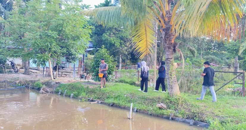 kunjungan ke tambak lele